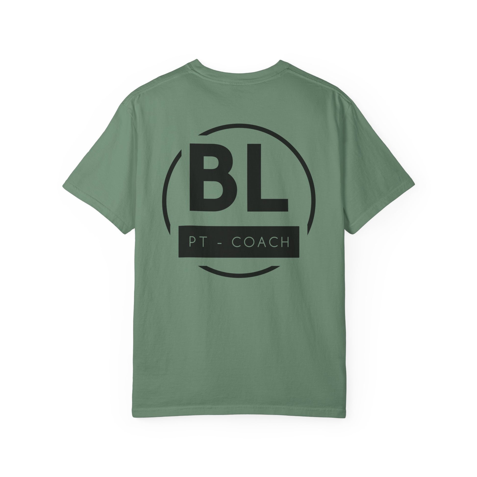 Unisex T-Shirt (Various Colours)