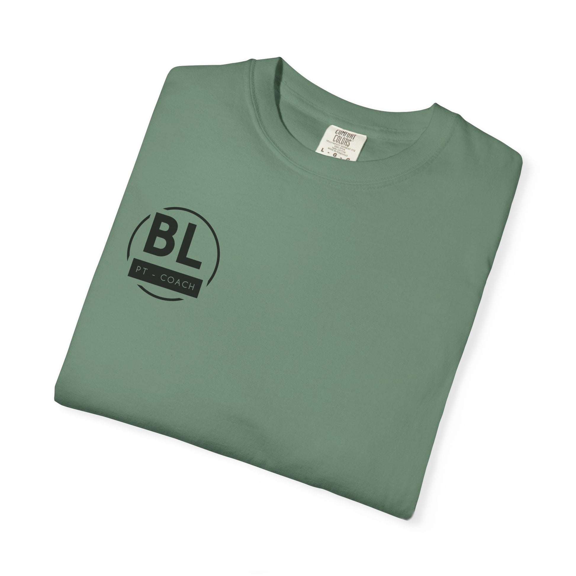 Unisex T-Shirt (Various Colours)